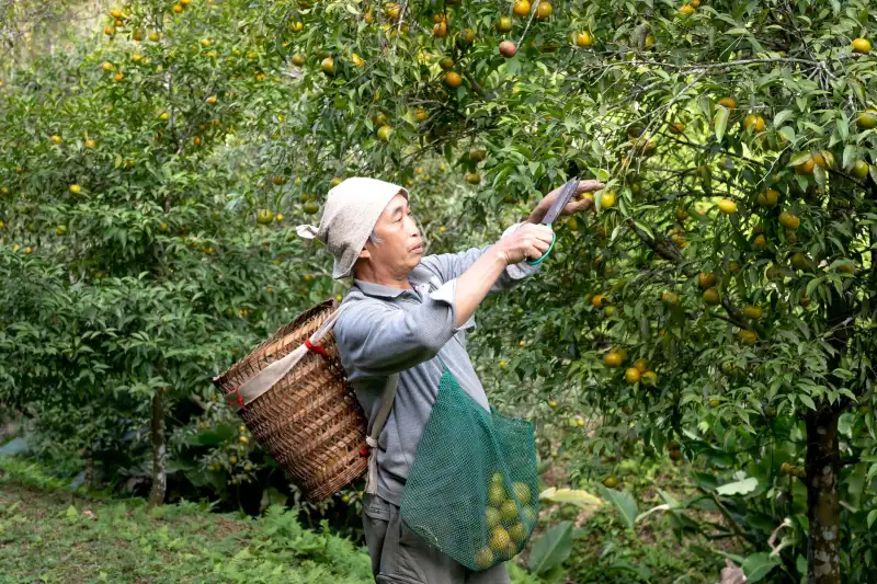 千娱音2025春夏童装纯棉系列面料舒适度对比分析